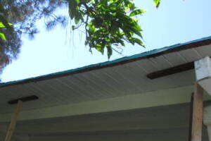 Carpentry Fascia Dryrot Refinish - Carpentry