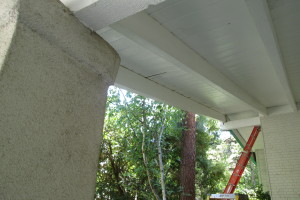 Carpentry Fascia Dryrot Refinish - Carpentry