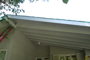 Carpentry Fascia Dryrot Refinish - Carpentry