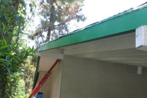 Carpentry Fascia Dryrot Refinish - Carpentry