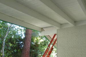 Carpentry Fascia Dryrot Refinish - Carpentry