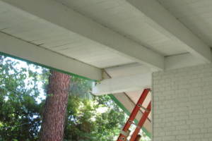 Carpentry Fascia Dryrot Refinish - Carpentry