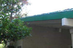 Carpentry Fascia Dryrot Refinish - Carpentry