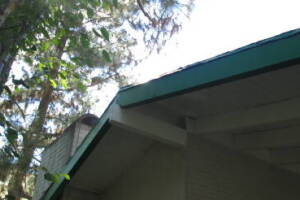 Carpentry Fascia Dryrot Refinish - Carpentry