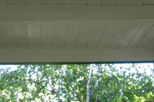 Carpentry Fascia Dryrot Refinish - Carpentry