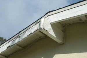 Carpentry Fascia Dryrot Renovation - Carpentry