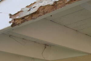 Carpentry Fascia Dryrot Renovation - Carpentry