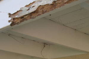 Carpentry Fascia Dryrot Renovation - Carpentry