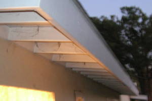 Carpentry Fascia Dryrot Renovation - Carpentry