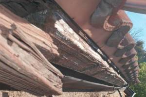 Carpentry Fascia Dryrot Repair - Carpentry