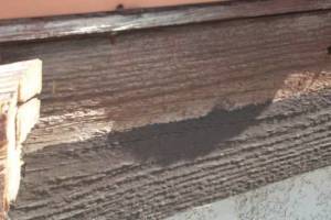 Carpentry Fascia Dryrot Repair - Carpentry