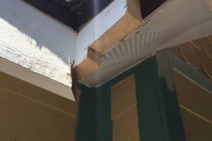 Carpentry Fascia Rot Repair - Carpentry