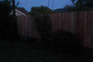 Carpentry Fence Gate Rebuild - Carpentry