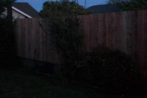 Carpentry Fence Gate Rebuild - Carpentry