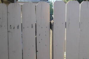 Carpentry Fence Gate Repair - Carpentry