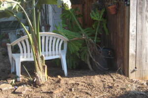 Carpentry Fence Install Replacement - Carpentry