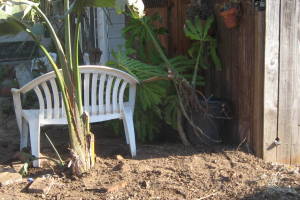 Carpentry Fence Install Replacement - Carpentry