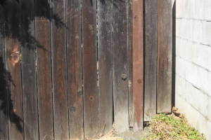 Carpentry Fence Install Replacement - Carpentry