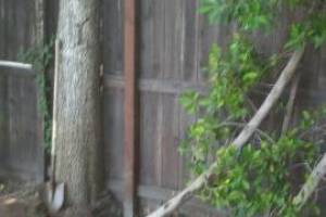 Carpentry Fence Post Repair - Carpentry