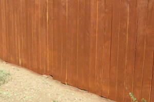 Carpentry Fence Stain Refinish - Carpentry