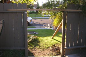 Carpentry Gate Dryrot Repair - Carpentry