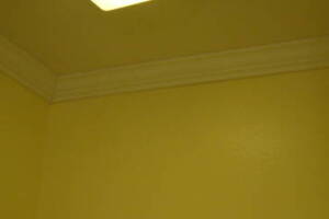 Carpentry Moulding Home Remodel - Carpentry