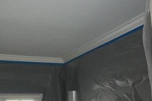 Carpentry Moulding Installation Paint - Carpentry