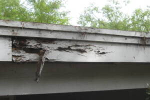 Carpentry Patio Cover Dryrot Repair - Carpentry