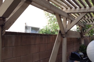 Carpentry Patio Cover Rebuild - Carpentry