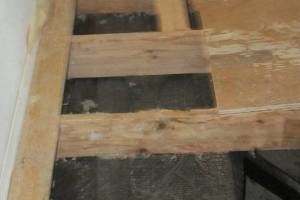 Carpentry Sublfloor Home Repair - Carpentry