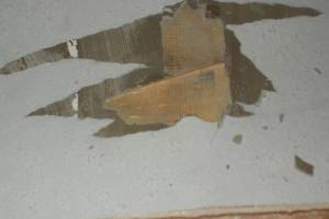 Carpentry Sublfloor Kitchen Repair - Carpentry