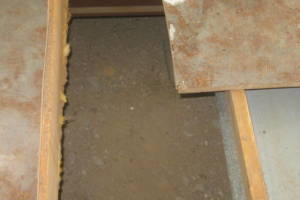 Carpentry Sublfloor Repair Insulation - Carpentry