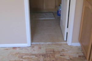 Carpentry Sublfloor Replacement Flooring - Carpentry