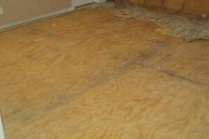 Carpentry Sublfloor Replacement Flooring - Carpentry