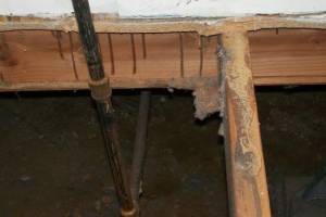 Carpentry Sublfloor Replacement Insulation - Carpentry