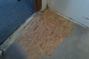 Carpentry Sublfloor Replacement Insulation - Carpentry