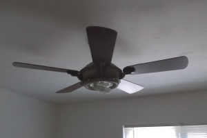 Electrical Ceiling Fan Reinstall - Electrical