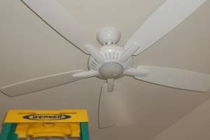 Electrical Ceiling Fan Replace - Electrical