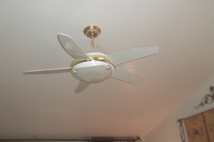 Electrical Ceiling Fan Replacements - Electrical