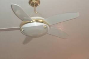 Electrical Ceiling Fan Replacements - Electrical