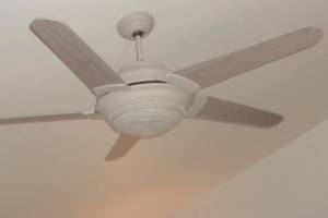 Electrical Ceiling Fan Replacements - Electrical