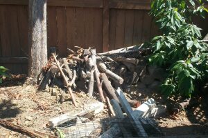 Hauling Yard Waste Overgrown Shrubs - Hauling