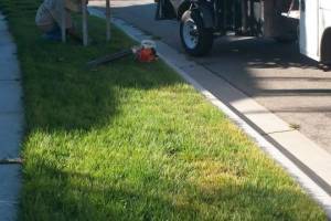 Landscaping Yard Maintenance Upkeep - Landscaping