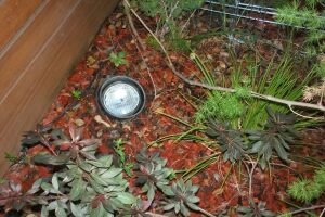 Landscaping Lighting Lamp Repair - Landscaping