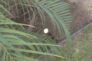 Landscaping Lighting System Replacement - Landscaping