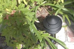 Landscaping Lighting System Replacement - Landscaping