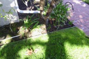 Landscaping Lighting System Replacement - Landscaping
