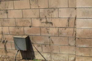 Landscaping Pressure Washing Concrete Wall - Landscaping