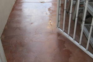 Landscaping Pressure Washing Driveway Patio - Landscaping