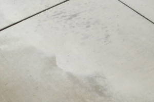 Landscaping Pressure Washing Driveway Spots - Landscaping